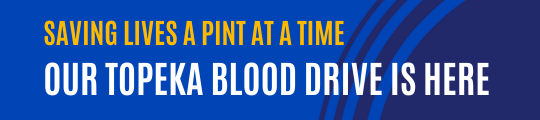 APR 2025 synopsis BLOOD.png