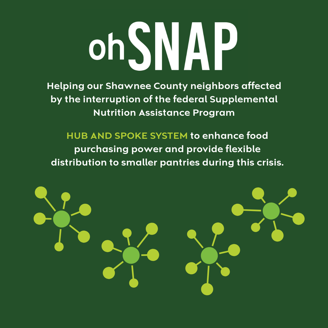 OHSNAP hub and spoke social graphic LWSNCO branded colors.png