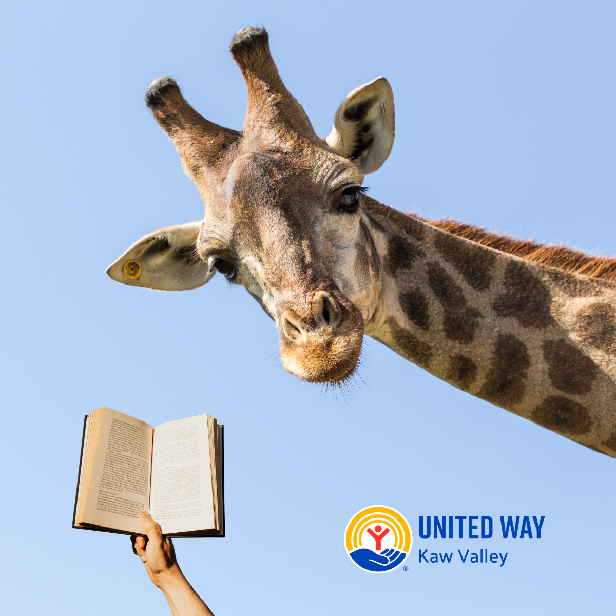 Wild about reading giraffe.png