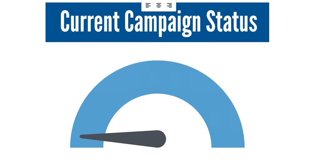 Campaign Status thumbnail